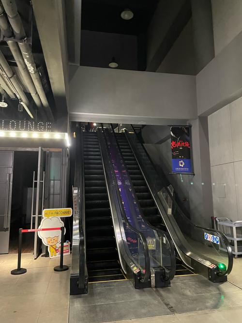 荔枝视频男人影院污的相关介绍