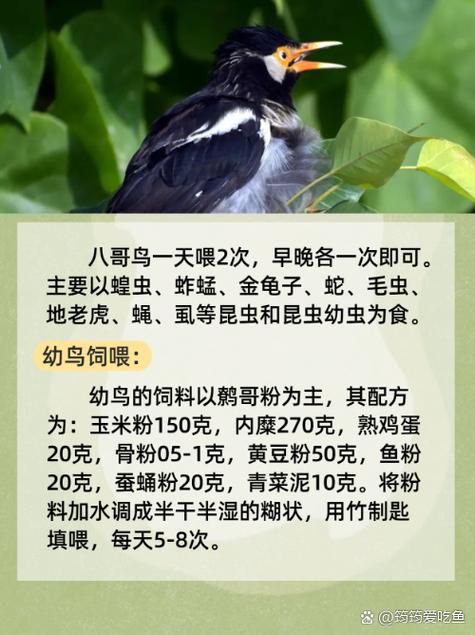 万达电影院网上购票的相关介绍