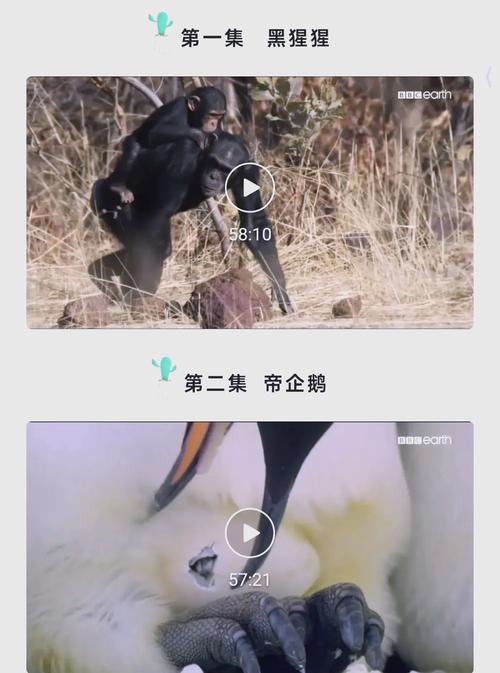 悠悠色 av的相关介绍