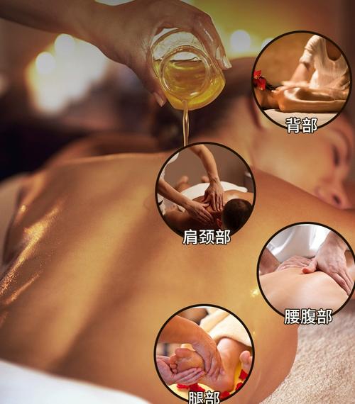 丰满的女友在线免费观看的相关介绍