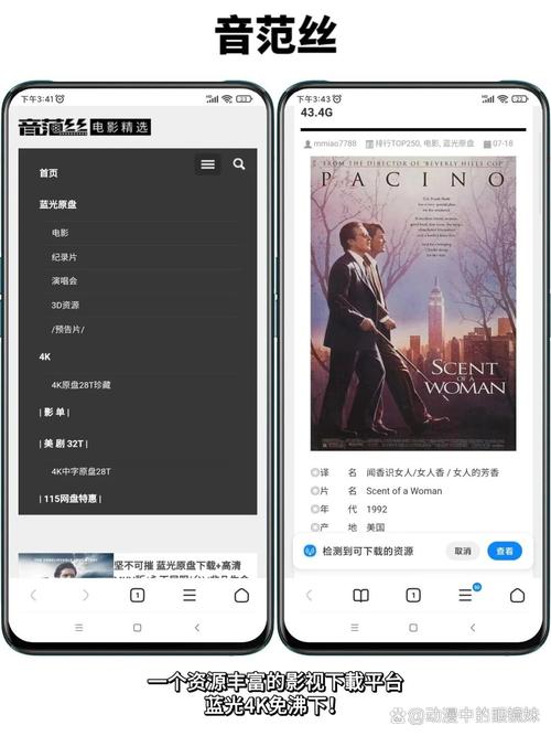 欧美50老熟妇xxxxx的相关介绍