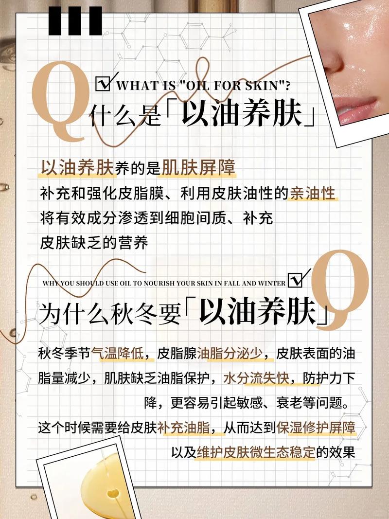 黑丝av在线免费观看的相关介绍
