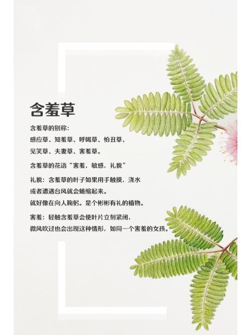 玩弄小屁股菊眼张开的相关介绍