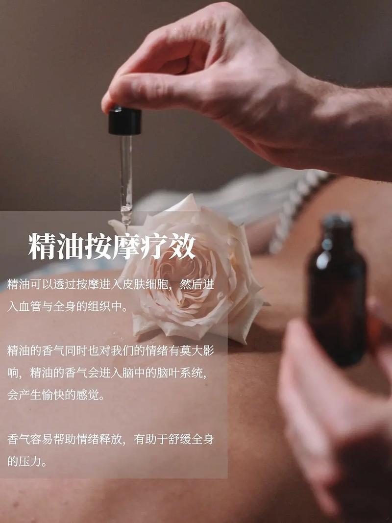 精品人妻中文有码的相关介绍