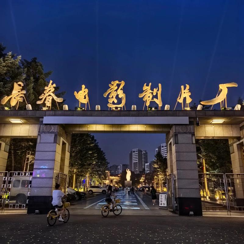 成年人的毛片的相关介绍
