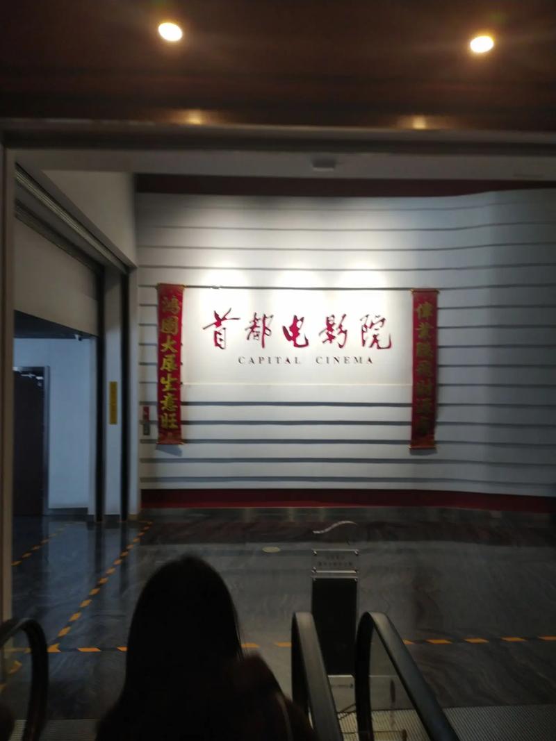 高清毛片无遮挡的相关介绍