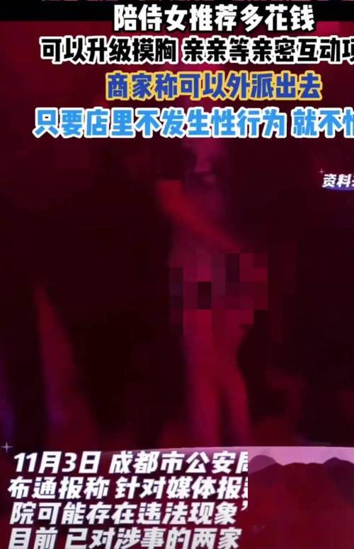 国产精品19久久久久久不卡的相关介绍