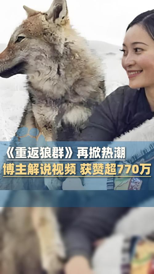 蜜臀av少妇av的相关介绍