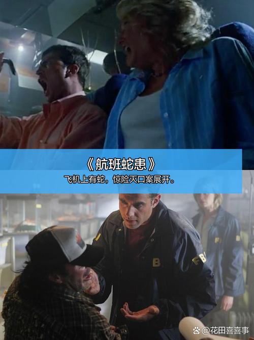 关于男女动漫的相关介绍
