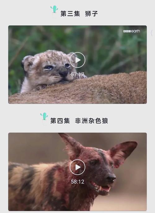 达达兔神马电影院的相关介绍