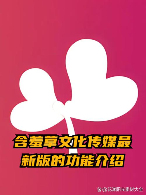 av少妇私拍的相关介绍