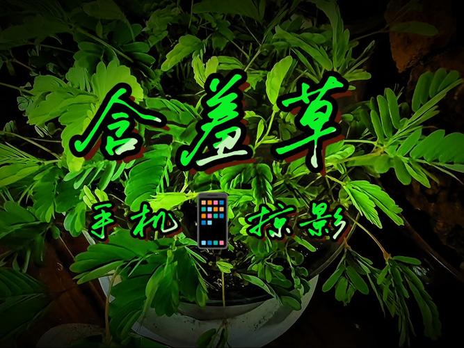 熟女熟妇欧美极品的相关介绍