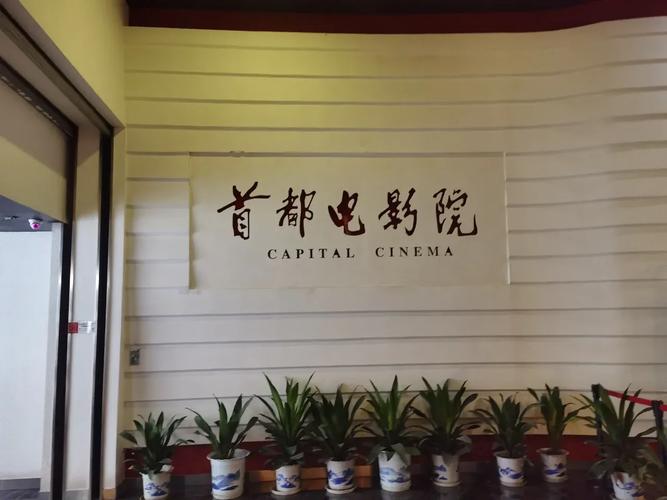 免费观看h影院最新影视资源，海量高清大片在线点播