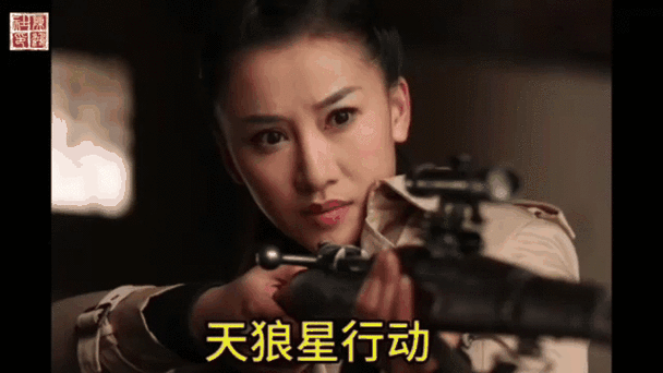 4080新视觉影院手机的相关介绍