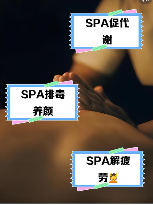 人妻绿帽官场(高h文)的相关介绍