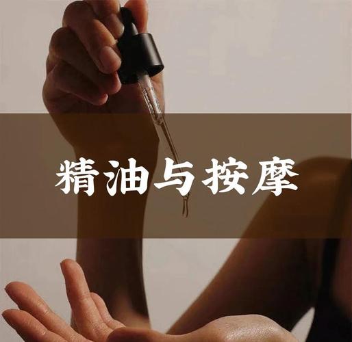 美日韩欧美在线一区二区三区的相关介绍