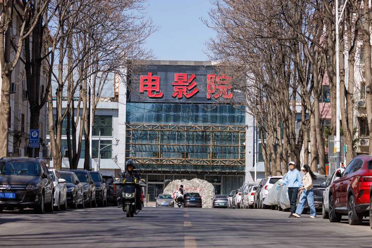 妻子去按摩伦理片的相关介绍