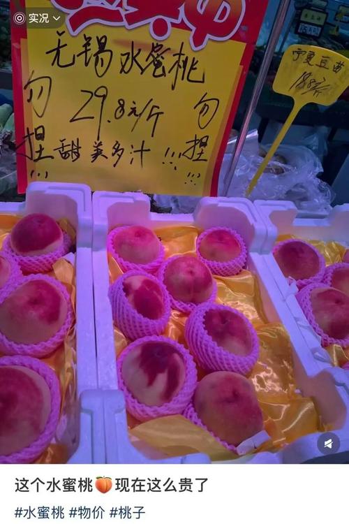 亚洲国产天堂久久久久久的相关介绍