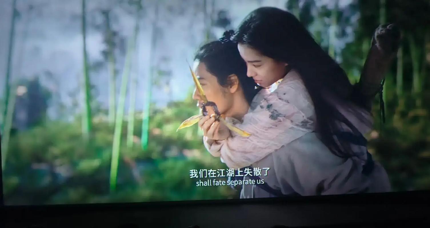免费a视频app的相关介绍