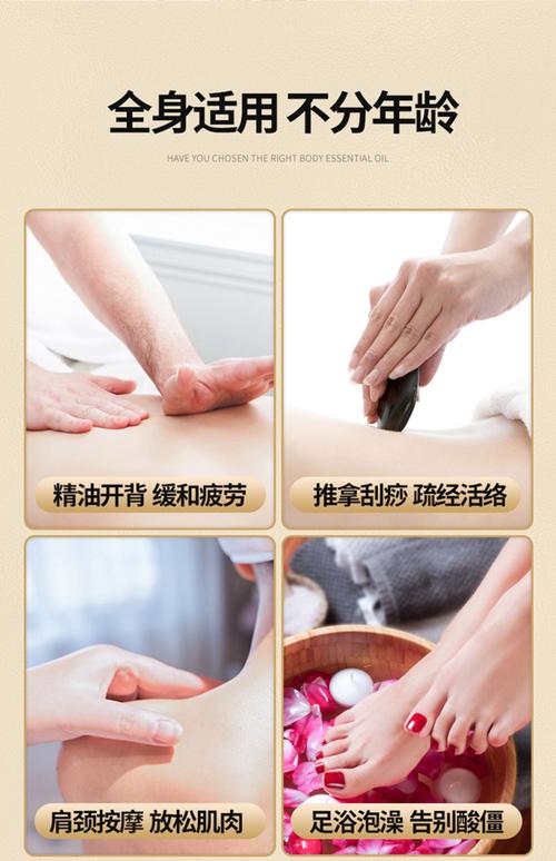 中文字幕av人妻少妇一区二区的相关介绍