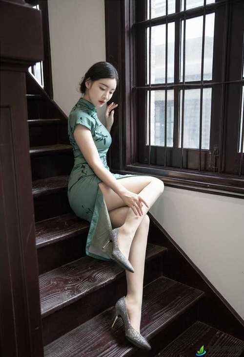 神马影院在线手机最新版的相关介绍