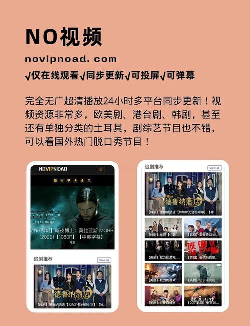 极品影院的相关介绍