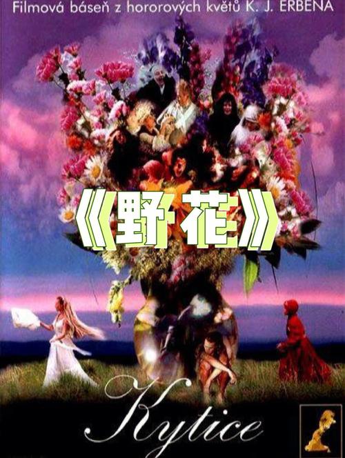 一边亲一边摸免费看的相关介绍