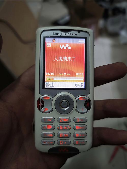 久久久久精品久的相关介绍