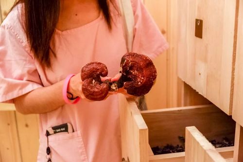 夜色私人影院app的相关介绍