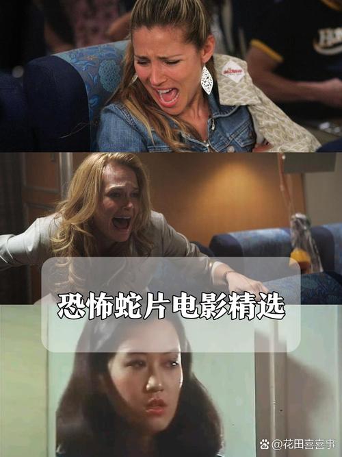 久久久 精品的相关介绍