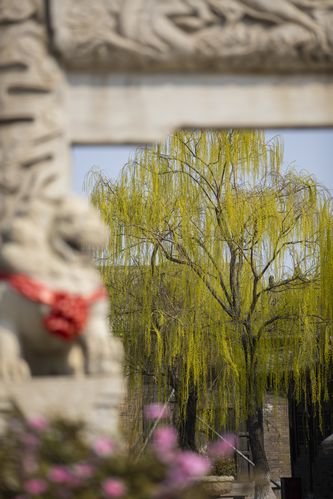 女生分泌物很多是黄色的的相关介绍