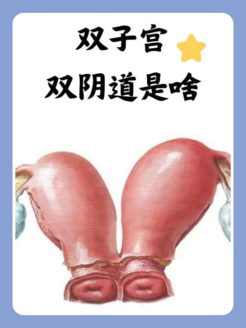 一边亲一边摸一边做爽免费的相关介绍