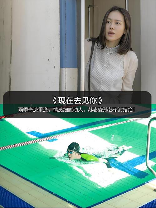 成人国产欧美在线观看的相关介绍