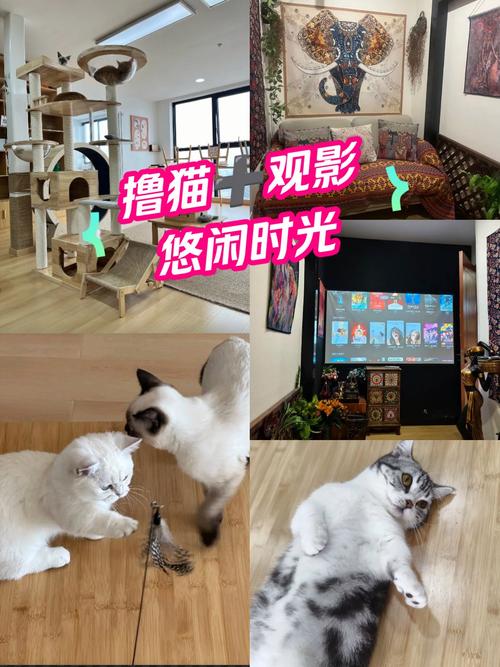 美女免费18的相关介绍