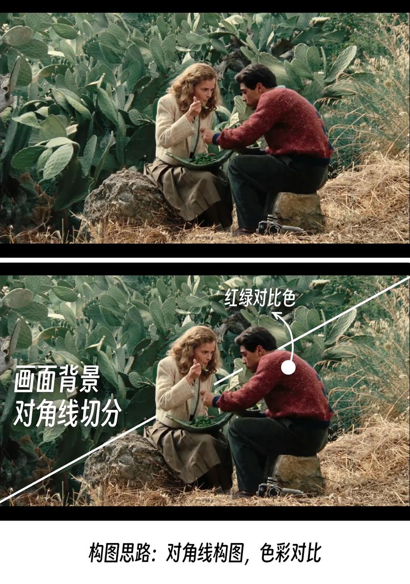 岛国毛片不卡的相关介绍