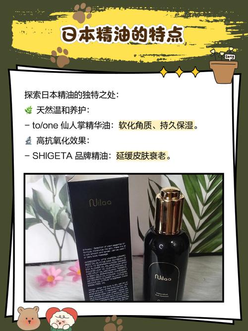 成年人网毛片的相关介绍