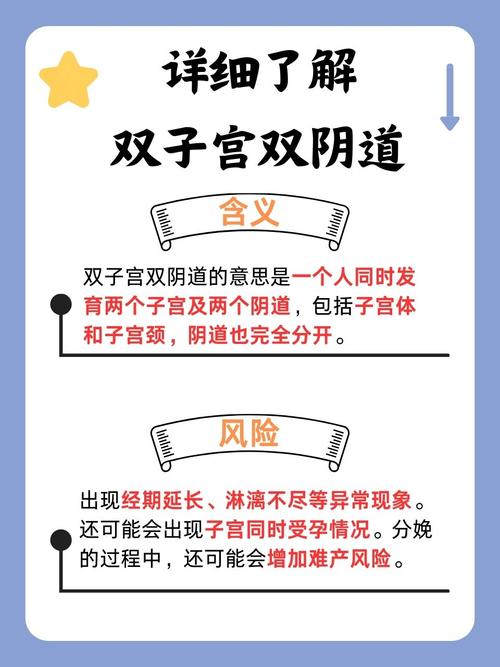 yy6080青苹果影院手机版的相关介绍