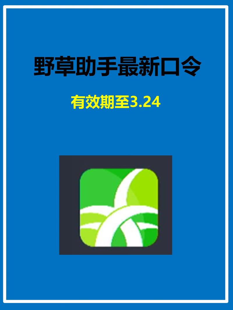 飞飞影院的相关介绍