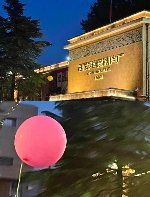 欧美日一区二区在线观看的相关介绍