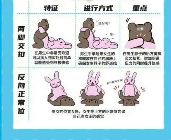 岛国毛片内谢的相关介绍