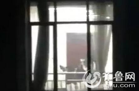 草民影院的相关介绍
