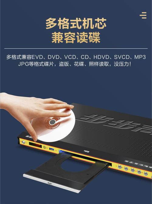 欧美va一区二区的相关介绍