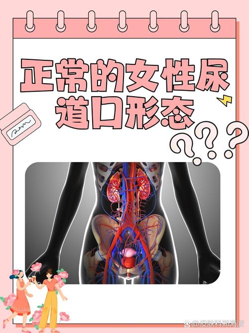 yy6080新视觉影院网 - 2025最新高清影视在线观看，免费追剧神器，热门大片全网首播
