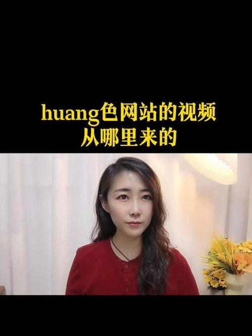 给我来个黄色录像的相关介绍
