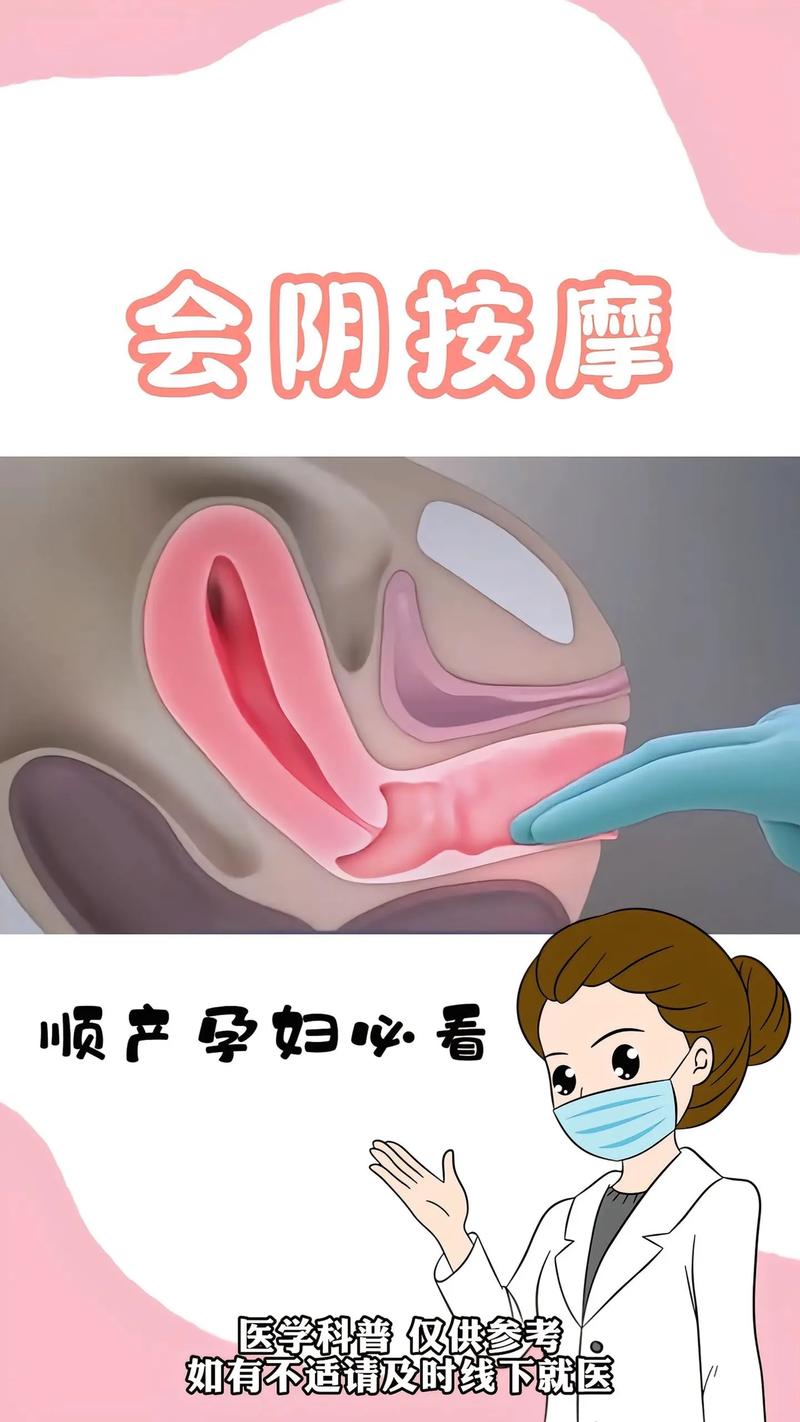 久久久精品就在这里的相关介绍