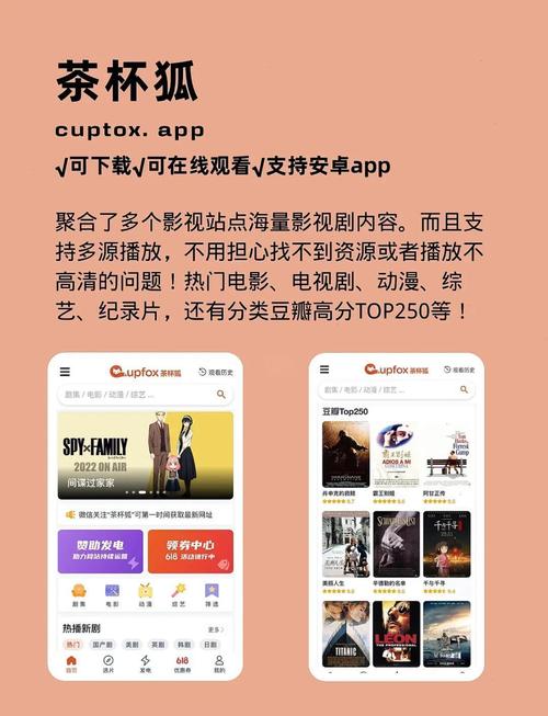 好女人免费av的相关介绍